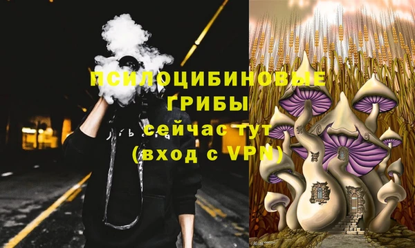 спайс Абаза
