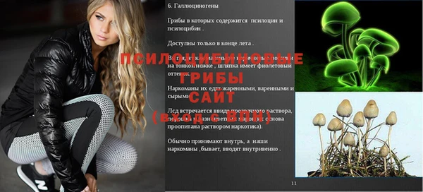 бошки Кулебаки