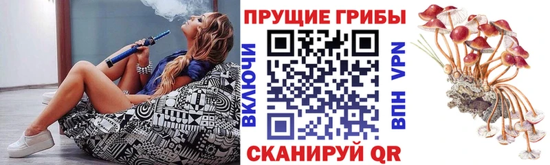 Галлюциногенные грибы Cubensis  где найти наркотики  hydra ссылки  Липецк 